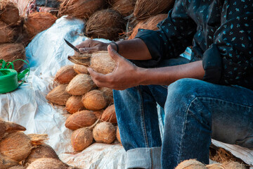 man peeling a coconut sitting down