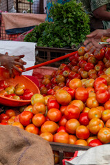 tomatoes in baskets