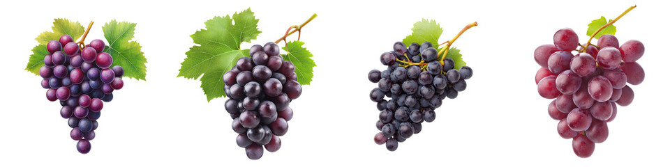 Fototapeta premium Fresh clusters of ripe grapes showcasing vibrant colors and healthy leaves.