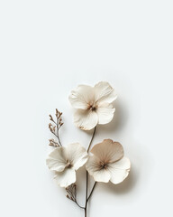 Elegant Arrangement of Dried Flowers on Minimalist Background Generated with AI