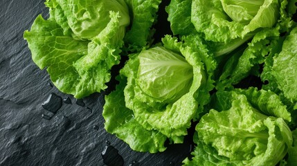 Fototapeta premium Freshly misted green lettuce heads on dark slate surface create a vibrant display