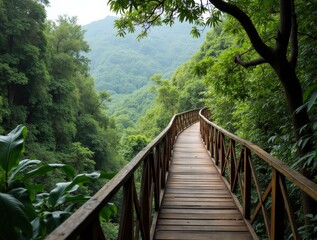 Obraz premium Wooden treetop canopy walkway over lush rainforest with vibrant jungle floor view