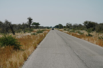 Cars mooving on the road to Safari in national park Etosha in Namibia