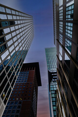 Naklejka premium Night view from below skyscrapers of Frankfurt am Main