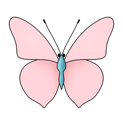 pink butterfly isolated on white background