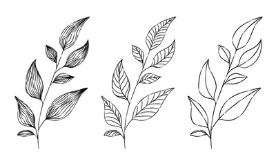 Hand-drawn botanical illustrations of leaves. Line art leaf set. Minimalistic branch with fine lines. Vector illustration