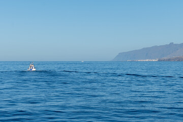 Naklejka premium Hotels, resorts, beaches on South of Tenerife in Costa Adeje and Playa de las Americas, Canary islands, Spain in winter, view from ocean