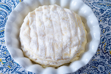 French dauphinois cheeses collection, Saint-Marcellin, Saint- Felicien cow's milk cheese with white mold from Rhône-Alpes region of France