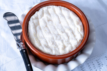 French dauphinois cheeses collection, Saint-Marcellin, Saint- Felicien cow's milk cheese with white mold from Rhône-Alpes region of France