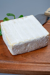 French soft squared pont l'eveque cow cheese from Calvados department, Normandy, France