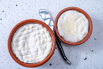 French dauphinois cheeses collection, Saint-Marcellin, Saint- Felicien cow's milk cheese with white...