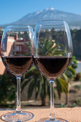 Wine making on bodegas wineries on volcanic soils of Mount Teide in Ycoden-Daute-Isora wine region...