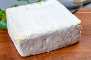 French soft squared pont l'eveque cow cheese from Calvados department, Normandy, France