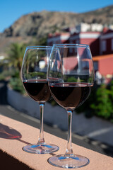 Wine making on bodegas wineries on volcanic soils of Mount Teide in Ycoden-Daute-Isora wine region...