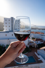 Wine making on bodegas wineries on volcanic soils of Mount Teide in Ycoden-Daute-Isora wine region...