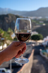 Wine making on bodegas wineries on volcanic soils of Mount Teide in Ycoden-Daute-Isora wine region on Tenerife, Canary islands winter sun vacation, Spain