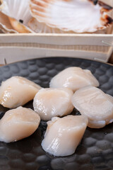 Atlantic bay scallops coquille St. James sea shells, opened in shellsand cleaned, catch of the day in Normandy or Brittany, France on fish market