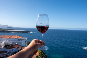 Wine making on bodegas wineries on volcanic soils of Mount Teide in Ycoden-Daute-Isora wine region on Tenerife, Canary islands winter sun vacation, Spain