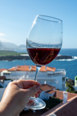 Wine making on bodegas wineries on volcanic soils of Mount Teide in Ycoden-Daute-Isora wine region on Tenerife, Canary islands winter sun vacation, Spain