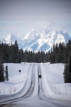 Wyoming Winter