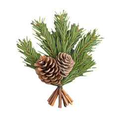 Fototapeta premium Festive pine arrangement with cones and cinnamon sticks on transparent