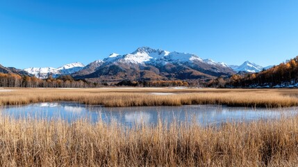 Snowy mountain reflection in autumnal wetland