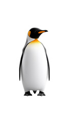 Obraz premium King penguin standing upright with wings at sides on transparent background
