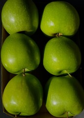 fresh green apples