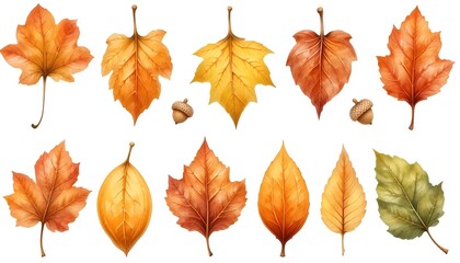 Fototapeta premium Fall foliage, autumn leaf background image, natural texture banner
