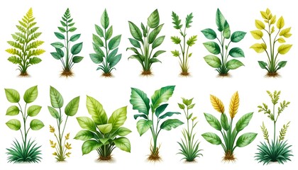 Fototapeta premium Leaf, plant background image, natural texture banner