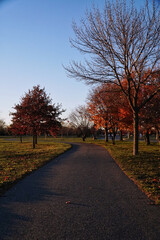 autumn in the park