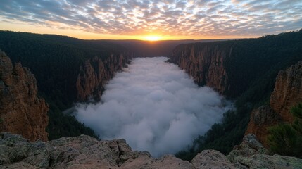 Fototapeta premium Dramatic sunrise over a canyon filled with fog.