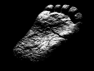 Ancient Footprint in Stone - A Timeless Impression
