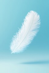 Fototapeta premium White feather levitating on soft blue background 