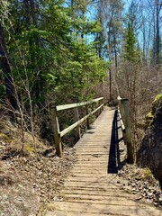 Fototapeta premium wooden bridge over a ravine in the forest