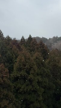 A light snow shower in Gotemba 