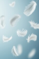 Naklejka premium Soft white feathers floating in light blue air 