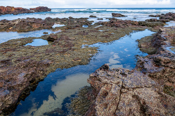 Rugged rock pools of coastal shoreline, with vibrant seaweed and clear tidal pools.The beauty of...