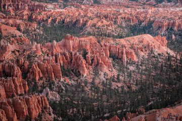 View on the Bryce Canyon