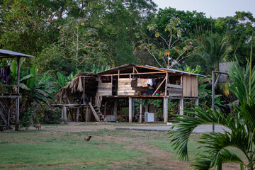 a Panamanian village in the middle of the jungle