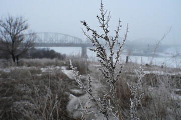 Winter Life (1 of 2)