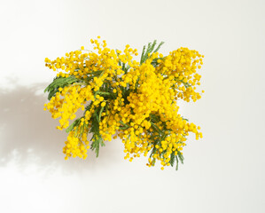 Bouquet of yellow mimosa flowers in a man's hand for International Women's Day