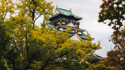 Osaka Castle, Osaka city, Japan, summer landscape vibrant view with a blue sky, Osakajo castle building, Kansai region, Osaka prefecture, travel to Japan
