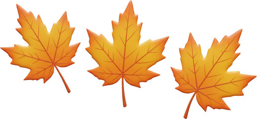 Three Vibrant Autumn Maple Leaves Fall Foliage Seasonal Design Elements