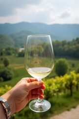 Obraz premium Hand holding glass of white wine in scenic vineyard setting