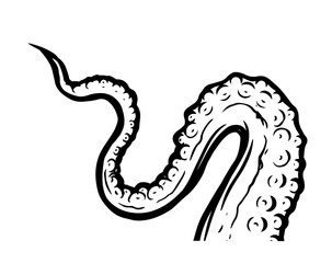 Tentacles of octopus, vector hand drawn collection of illustrations. Black and white engraving style drawings. Tentacle straight and with rings in different angles.