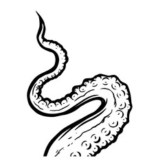 Tentacles of octopus, vector hand drawn collection of illustrations. Black and white engraving style drawings. Tentacle straight and with rings in different angles.