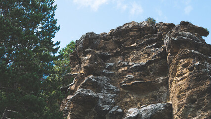 Rock wall cliff and pine tree blue sky warm summer day steep