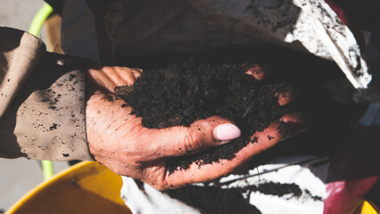 Woman hands holding black rich fertile soil gardening working