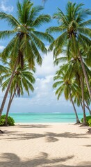Tropical beach paradise with palm trees and crystal clear ocean under blue sky